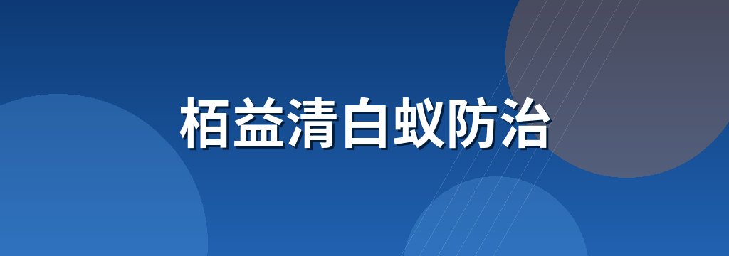 栢益清白蚁防治 商铺横幅