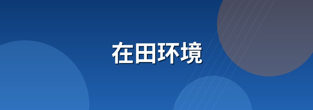 在田环境 商铺横幅